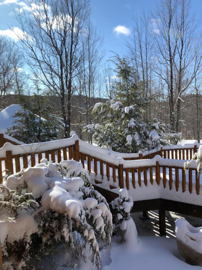 Black River Crossing Bed & Breakfast Bessemer Exterior foto